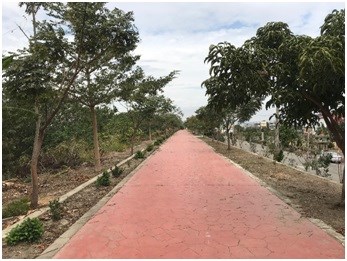 慶光路堤防
